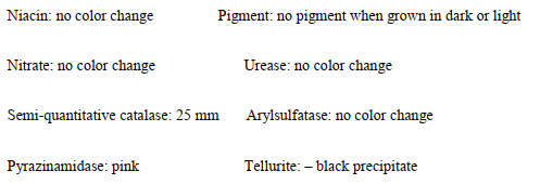 <strong>A slow-growing, acid-fast bacillus provides the following reactions: Which of the following patient history/specimen types was the original source for this organism?</strong> A) Stool from a 44-year-old male with HIV B) Sputum from an 18-year-old female illegal alien from Mexico C) Skin lesion from a 39-year-old female who owns a tropical fish store D) Lymph node from a 4-month-old male after receiving the BCG vaccine