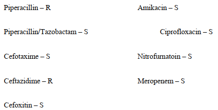 <strong>A microbiologist reviews the susceptibility results of Proteus mirabilis isolated from catheterized urine of a 57-year-old male in a coma. The organism test results included:     Based on these results, the microbiologist should</strong> A) report the results as tested. B) test the organism for ESBL production. C) test the organism for AmpC production. D) perform a Hodge test. <div style=padding-top: 35px> 