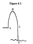 <strong>Figure 6-1, an Olympic diver dives off the high-diving platform. -See Figure 6-1. The magnitude of his momentum will be a maximum at which point (A, B, C or D)?</strong> A) A B) B C) C D) D