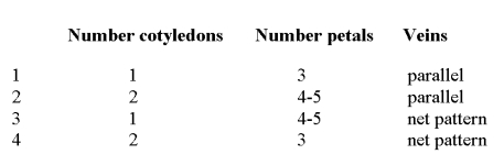<strong>Which one of the following rows correctly identifies a monocot? </strong> A) Row 1 B) Row 2 C) Row 3 D) Row 4