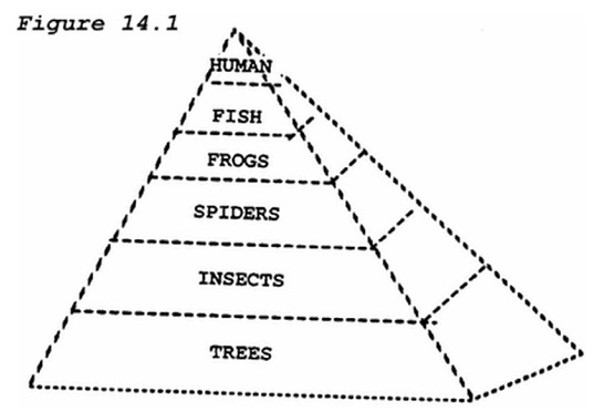 <strong> -In the diagram above, the most biomass is contained within the</strong> A) trees. B) insects. C) frogs. D) human.