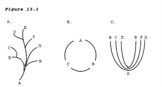 <strong>In the figure, the pattern of divergent evolution is best illustrated by </strong> A) A. B) B. C) C. D) None is a good illustration of divergent evolution.