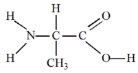 <strong>The molecule below is a(n) </strong> A) amino acid. B) carbohydrate. C) lipid. D) nucleic acid.