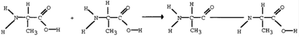 <strong>The missing product below is </strong> A) O<sub>2</sub> B) CO<sub>2</sub> C) H<sub>2</sub>O D)