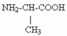<strong>The missing product below is </strong> A) O<sub>2</sub> B) CO<sub>2</sub> C) H<sub>2</sub>O D)