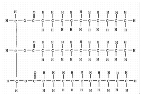 <strong>The molecule below </strong> A) was probably produced by a plant. B) is liquid at room temperature. C) was formed by three separate hydrolysis reactions. D) contains more energy per gram than a carbohydrate.