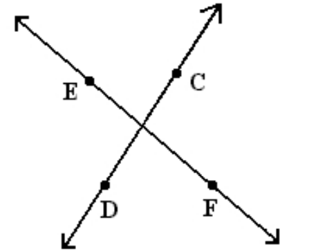 Determine whether the lines are perpendicular. Use a protractor. -