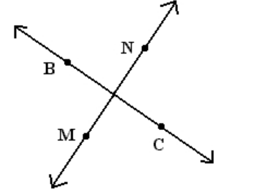 Determine whether the lines are perpendicular. Use a protractor. -