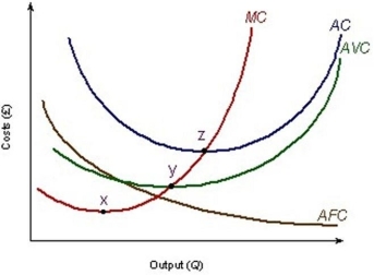 <strong>The following diagram shows a firm's short- run cost curves. It indicates that diminishing returns set in at point</strong> A) x B) somewhere between points x and y C) z D) y