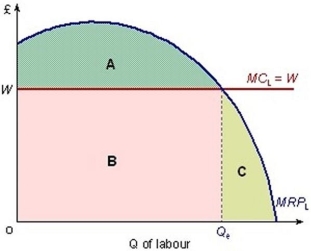 <strong>The following diagram shows a firm operating in a perfectly competitive labour market. Which area(s) represent the surplus over the wage bill to the firm?</strong> A) Areas A + C B) Area B C) Area C D) Area A