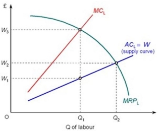 <strong>The following diagram shows a monopsony employer. What is the profit- maximising wage for the employer to pay?</strong> A) W<sub>2</sub> B) W<sub>3</sub> C) W<sub>1</sub> D) Somewhere between W<sub>1</sub><sub> </sub>and W<sub>3</sub>, but it is impossible to say the precise wage rate without more information