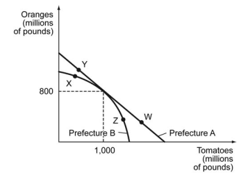 The figure below shows production possibilities curves for tomatoes and oranges in two prefectures in a country. -Refer to the figure above. Suppose that Prefecture A produces at point W, while Prefecture B produces at point X. Could there be gains from trade (Prefecture A sells tomatoes to Prefecture B, and Prefecture B sells oranges to Prefecture B)? Why or why not?