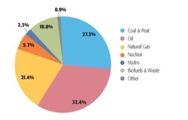 <strong>Currently, which of the following primary energy sources accounts for the least global consumption? </strong> A) nuclear B) gas C) wood D) renewable energy E) hydropower
