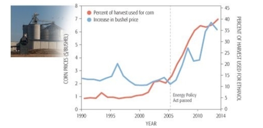 <strong>The greatest rate of increase in the price of corn ($/bushel) was experienced during _______. </strong> A) 2007- 2008 B) 2005- 2006 C) 1996- 1997 D) 2000- 2001 E) 2009- 2010