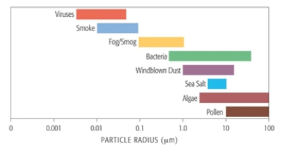 <strong>Which of the following particles is likely to fall out of the air faster? </strong> A) pollen B) fog/smog C) bacteria D) salt- algae E) viruses