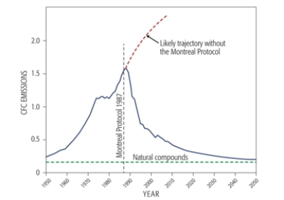 <strong>According to the graph, what year was the Montreal Protocol most likely to have been enacted? </strong> A) 2000 B) 1982 C) 1984 D) 1987 E) 1990