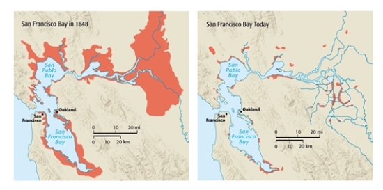 <strong>In 1848, San Francisco Bay looked much different than it does today. At one time, the largest part of this estuary had an area defined by approximately_______ . </strong> A) 40 × 50 mi B) 20 × 40 km C) 30 × 80 km D) 15 × 40 km E) 40 × 150 mi