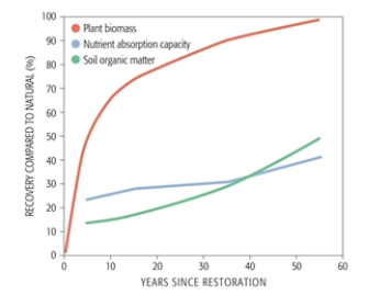 <strong>The main conclusion from this graph on soil and vegetation change after wetland restoration is_______ </strong> A) soil organic matter and nutrient absorption are much easier to accomplish than improvements in biomass B) that it takes at least 10 years for wetlands restoration to be completed C) soils are more important to wetlands restoration than are plants D) soil organic matter is initially the most rapid category to recover E) plant biomass recovers relatively rapidly in restored wetlands