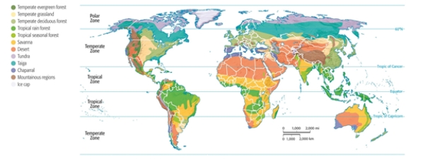 <strong>The United States is in the________zone. </strong> A) polar B) temperate C) desert D) tropical E) continental