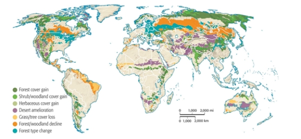 <strong>Where is it likely that forest and woodland cover will increase? </strong> A) Europe B) South America C) Arctic D) Asia E) North America