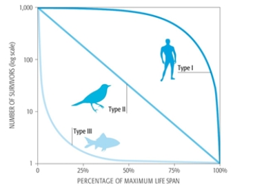 <strong>What does the figure illustrate? </strong> A) Fish have a steady rate of mortality change. B) Birds have a constant mortality rate. C) Humans have an increased mortality rate at a young age. D) Fish have a decreased mortality rate at young age. E) Birds have an ever decreasing mortality rate.