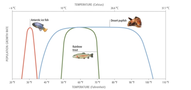 <strong> -The organism most likely to be vulnerable to global climate change is________.</strong> A) rainbow trout B) rainbow trout and Antarctic ice fish C) Antarctic ice fish D) desert pupfish E) desert pupfish and all its relatives