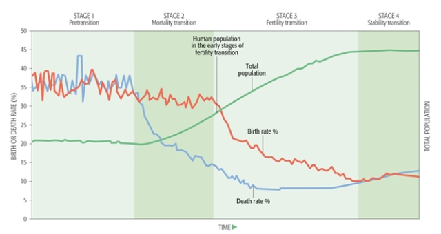 <strong>In the early stages of fertility transition, what is happening with birth and death rates in this demographic transition graph? </strong> A) Birth rates are decreasing and death rates are increasing. B) Birth and death rates are decreasing. C) Birth and death rates are increasing. D) Birth and death rates are stable. E) Birth rates are increasing and death rates are decreasing.