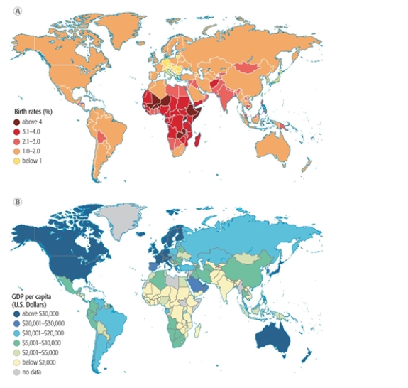 <strong>Based on information in this figure on birth rates and wealth, what can be inferred about a population's birth rate as it relates to the Gross Domestic Product in the country? </strong> A) Birth rates are higher in countries with lower wealth because the women are older when they give birth. B) Wealthier countries have higher birth rates. C) Wealthier countries have higher birth rates because people can afford more children. D) Poorer countries have lower birth rates. E) Birth rates are higher in countries with lower wealth because the women are younger when they give birth.