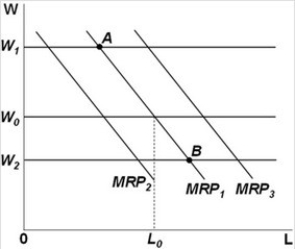 <strong> - Refer to the above graph. Suppose that a competitive firm in long-run equilibrium faces a market wage W<sub>0</sub> as shown. Suddenly, the price of the output it produces increases. If other things remain the same, the short-run effect of this change in price would be to:</strong> A) increase the firm's demand for labor from MRP<sub>1</sub> to MRP<sub>3</sub>. B) decrease the firm's demand for labor from MRP<sub>1</sub> to MRP<sub>2</sub>. C) increase the market wage rate to W<sub>1 </sub>and decrease the quantity of labor the firm demands to point A. D) decrease the market wage rate to W<sub>2</sub> and increase the quantity of labor the firm demands to point B.