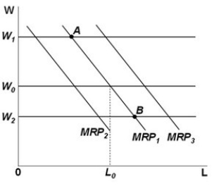 <strong> -Refer to the above graph. Suppose that a competitive firm in long-run equilibrium faces a market wage W<sub>0</sub> as shown. Suddenly, the price of the product it produces decreases. If other things remain the same, the short-run effect of this change in price would be to:</strong> A) increase the firm's demand for labor from MRP<sub>1</sub> to MRP<sub>3</sub>. B) decrease the firm's demand for labor from MRP<sub>1</sub> to MRP<sub>2</sub>. C) increase the market wage rate to W<sub>1</sub> and decrease the quantity of labor the firm demands to point A. D) decrease the market wage rate to W<sub>2</sub> and increase the quantity of labor the firm demands to point B.