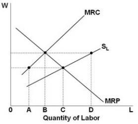 <strong> The level of employment in the monopsony labor market shown above will be:</strong> A) A. B) B. C) C. D) D.