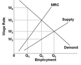 <strong> Refer to the above graph. Under monopsony in the hiring of labor services, the wage rate will be:</strong> A) W<sub>1</sub> and Q<sub>1</sub> workers will be hired. B) W<sub>2 </sub>and Q<sub>2 </sub>workers will be hired. C) W<sub>2</sub> and Q<sub>1</sub> workers will be hired. D) W<sub>3</sub> and Q<sub>1</sub> workers will be hired.