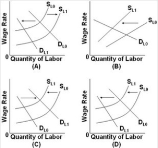 <strong> - Refer to the above graphs. The formation of an exclusive or craft union, with no change in demand, is depicted by situation:</strong> A) A. B) B. C) C. D) D.