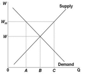 <strong> In the labor market shown above, if a minimum wage level is set at W<sub>m</sub>, it will cause:</strong> A) employment to decrease from C to A. B) employment to decrease from C to B. C) employment to decrease from B to A. D) BC workers to be hired.