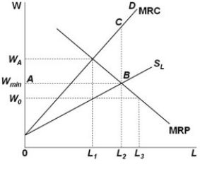 <strong> Senator Approxmire opposes a proposal requiring that the monopsonist pay a minimum wage of at least W<sub>min</sub>, stating: Even if the labor market is monopsonistic, economic theory unambiguously demonstrates that imposing a minimum wage causes employment to fall. Senator Approxmire is:</strong> A) correct because the law of demand states that as the wage rises, the firm demands less labor. B) incorrect because the monopsonist would offer a wage of W<sub>A</sub>, which is higher than W<sub>min</sub>, and maintain its employment at L<sub>1</sub>. C) incorrect because the monopsonist's effective MRC curve becomes ABCD, which means that it would choose to hire more workers, from L<sub>1</sub> to L<sub>2</sub>, following the imposition of the minimum wage. D) correct because the graph indicates that at the wage of W<sub>min</sub>, the monopsonist would not make a profit from hiring labor and so would not hire any at all.