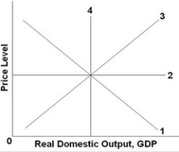 <strong> -Refer to the above graph. Which line shows the full-employment output for the economy?</strong> A) 1 B) 2 C) 3 D) 4
