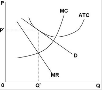 <strong> Refer to the above graph. Assume that in long-run equilibrium a purely competitive firm has the same cost curves as that of the monopolistically competitive firm shown. It can be concluded that the:</strong> A) purely competitive firm would have lower economic profits. B) purely competitive firm would have higher economic profits. C) purely competitive producer would produce less at a higher ATC. D) monopolistically competitive producer would produce less at a higher ATC.