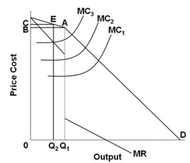 <strong> -On the above graph, if the oligopolist's MC curve shifts from MC<sub>1</sub> to MC<sub>2</sub>, the firm will charge:</strong> A) a higher price and total revenue will increase. B) the same price and sell more output; total revenue will increase. C) the same price and sell the same amount of output; total revenue will remain the same. D) a higher price and sell less output; it can't be determined whether total revenue will increase.