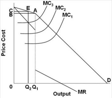 <strong> -The above graph represents a:</strong> A) collusive oligopoly firm. B) noncollusive oligopoly firm. C) monopoly firm. D) monopolistically competitive firm.