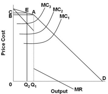 <strong> - Based on the graph above, we would expect this firm to sell: </strong> A) Q<sub>1</sub> units at a price of B. B) Q<sub>1</sub> units at a price of C. C) Q<sub>2</sub> units at a price of C. D) Q<sub>2</sub> units at a price of B.