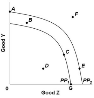 <strong> The graph above shows two production possibilities curves for a nation that produces two goods, Y and Z. PP<sub>1</sub> and PP<sub>2</sub> show the production possibilities for years 1 and 2. The nation's total production then decreased after year 2. This change could be represented by a move from:</strong> A) F to A. B) A to E. C) F to B. D) E to D.