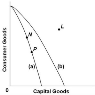 <strong> -Refer to the above production possibilities curves. Curve (a) is the current curve for the economy. Other things being equal, society's current choice of point P on curve (a) will:</strong> A) allow it to achieve more rapid economic growth than would the choice of point N. B) entail a slower rate of economic growth than would the choice of point N. C) entail the same rate of growth as would the choice of point N. D) be unobtainable because it exceeds the productive capacity of the economy.