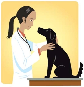 <strong>Complete la oración según la imagen.Esta _____ ha cuidado a todos nuestras mascotas. </strong> A) veterinaria B) periodista C) física D) peluquera