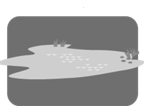 <strong>Match the correct image with each word. -la huerta</strong> A) B) C) D)