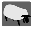 <strong>Match the correct image with each word. -la oveja</strong> A) B) C) D)