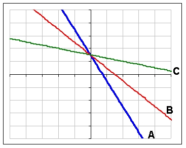 Which function pictured has the largest slope?  