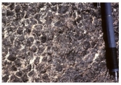 <strong>88)Which of the following rock photographs depicts a felsic igneous rock?</strong> A) B) C) D)