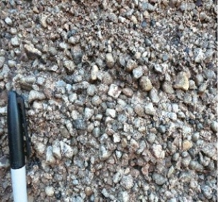 <strong>122)What type of rock is shown in this photograph from the Investigation? </strong> A)conglomerate B)sandstone C)shale D)an igneous rock E)a metamorphic rock