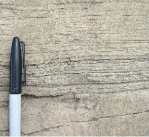 <strong>123)What type of rock is shown in this photograph from the Investigation? </strong> A)conglomerate B)an igneous rock C)a metamorphic rock D)shale E)sandstone