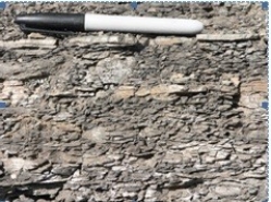 <strong>126)What type of rock is shown in this photograph from the Investigation? </strong> A)an igneous rock B)a metamorphic rock C)shale D)sandstone E)conglomerate